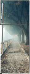 Samolepka na lednici flie 80 x 200  A misty morning autumn landscape, an old park foggy alley. Great oak tree park alley, 80 x 200 cm