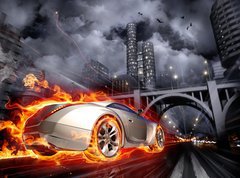 Samolepka flie 270 x 200, 20310632 - Hot car