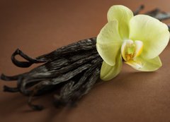 Samolepka flie 200 x 144, 20326505 - Beautiful Vanilla - Krsn vanilka