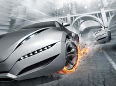 Samolepka flie 270 x 200, 20357980 - Race