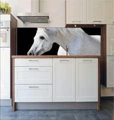 Fototapeta do kuchyn flie 180 x 60, 20437114 - white horse isolated on black - bl k izolovanch na ernm