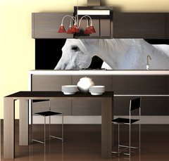 Fototapeta do kuchyně fólie 260 x 60, 20437114 - white horse isolated on black - bílý ků izolovaných na černém