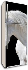 Samolepka na lednici flie 80 x 200, 20437114 - white horse isolated on black - bl k izolovanch na ernm