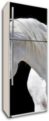 Samolepka na lednici fólie 80 x 200, 20437114 - white horse isolated on black - bílý ků izolovaných na černém