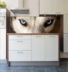 Fototapeta do kuchyn flie 180 x 60  Close view of blue eyes of an Husky or Eskimo dog., 180 x 60 cm