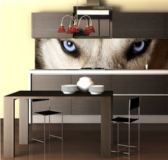 Fototapeta do kuchyn flie 260 x 60, 20504751 - Close view of blue eyes of an Husky or Eskimo dog. - Zblzka pohled na modr oi Huskyho nebo eskimskho psa.