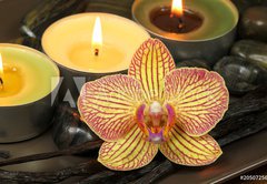 Fototapeta pltno 174 x 120, 20507256 - Orchid and vanilla in spa therapy