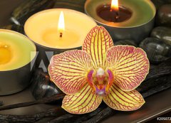 Fototapeta vliesov 200 x 144, 20507256 - Orchid and vanilla in spa therapy