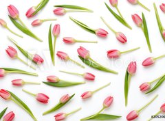 Fototapeta papr 360 x 266, 205206437 - Pink tulip pattern on the white bacjkground.