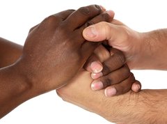 Samolepka flie 270 x 200, 2056987 - handshake between races