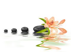 Fototapeta pltno 330 x 244, 20744529 - Stone et Zen