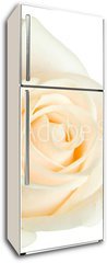 Samolepka na lednici flie 80 x 200, 2079431 - white rose isolated