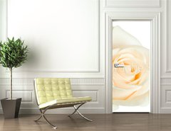 Samolepka na dvee flie 90 x 220  white rose isolated, 90 x 220 cm