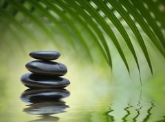 Samolepka flie 270 x 200, 20832256 - Zen stones