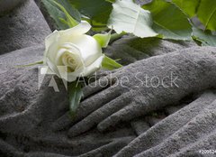 Fototapeta plátno 160 x 116, 20952418 - Ruhe in Frieden - Ruhe ve Friedenu