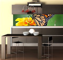 Fototapeta do kuchyně fólie 260 x 60, 2114104 - monarch butterfly - monarchový motýl