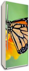 Samolepka na lednici flie 80 x 200  monarch butterfly, 80 x 200 cm