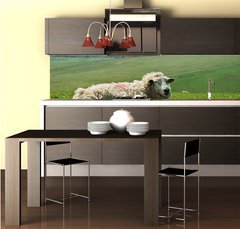 Fototapeta do kuchyn flie 260 x 60, 21163445 - Ewe and lambs