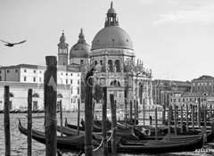 Samolepka flie 100 x 73, 211839650 - Gondolas and Santa Maria della Salute church in Venice