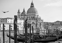 Samolepka flie 145 x 100, 211839650 - Gondolas and Santa Maria della Salute church in Venice