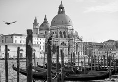 Fototapeta184 x 128  Gondolas and Santa Maria della Salute church in Venice, 184 x 128 cm