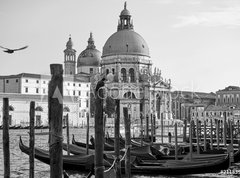 Fototapeta vliesov 270 x 200, 211839650 - Gondolas and Santa Maria della Salute church in Venice