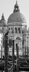Samolepka na dvee flie 90 x 220, 211839650 - Gondolas and Santa Maria della Salute church in Venice