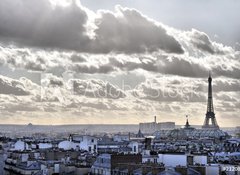 Samolepka flie 100 x 73  Vue depuis les toits de Paris  Tour Eiffel, 100 x 73 cm
