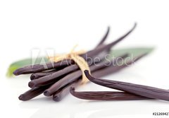 Fototapeta papr 184 x 128, 21269427 - Vanille fra che - Vanilla fra che