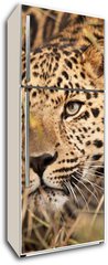 Samolepka na lednici flie 80 x 200, 21374937 - Leopard Hunting