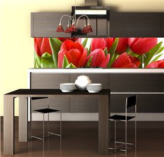 Fototapeta do kuchyně fólie 260 x 60, 21477013 - Tulips from Holland - Tulipány z Holandska