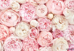 Fototapeta papr 184 x 128, 215246503 - Summer blossoming delicate rose on blooming flowers festive background, pastel and soft bouquet floral card