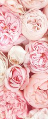 Samolepka na dvee flie 90 x 220, 215246503 - Summer blossoming delicate rose on blooming flowers festive background, pastel and soft bouquet floral card