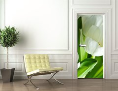 Samolepka na dvee flie 90 x 220  White Tulips, 90 x 220 cm