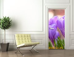 Samolepka na dvee flie 90 x 220  Violet Crocuses in the garden, 90 x 220 cm