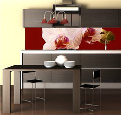 Fototapeta do kuchyn flie 260 x 60, 21806179 - orchid on red background