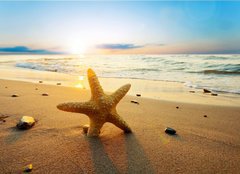 Fototapeta pltno 160 x 116, 21858060 - Starfish on the beach - Hvzdice na pli