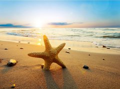 Samolepka flie 270 x 200, 21858060 - Starfish on the beach - Hvzdice na pli