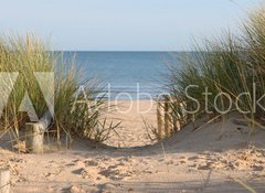 Samolepka flie 100 x 73, 21978364 - Beach Path Through Dunes - Pl Cesta Duny