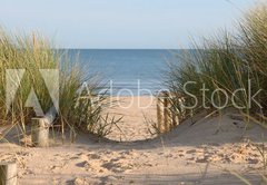 Fototapeta vliesov 145 x 100, 21978364 - Beach Path Through Dunes