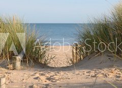 Fototapeta vliesov 200 x 144, 21978364 - Beach Path Through Dunes