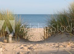 Fototapeta papír 360 x 266, 21978364 - Beach Path Through Dunes - Pláž Cesta Duny