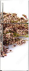 Samolepka na lednici fólie 80 x 200, 220739322 - sorghum isolated on white background