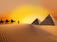 Fototapeta160 x 116  Pyramid, camel and sunset, 160 x 116 cm