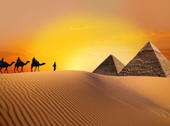 Fototapeta270 x 200  Pyramid, camel and sunset, 270 x 200 cm