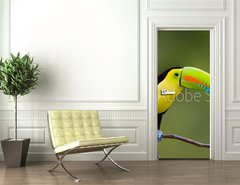 Samolepka na dvee flie 90 x 220, 22186231 - Keel Billed Toucan, from Central America. - Keel Billed Toucan, ze Stedn Ameriky.