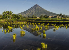 Fototapeta pltno 330 x 244, 222228981 - Volcano in the early morning