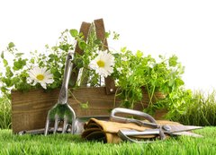 Fototapeta vliesov 200 x 144, 22249018 - Fresh herbs in wooden box on grass - erstv byliny v devn krabici na trv