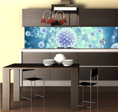Fototapeta do kuchyn flie 260 x 60  3d rendering virus, bacteria, cell, 260 x 60 cm