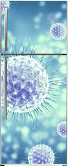 Samolepka na lednici flie 80 x 200  3d rendering virus, bacteria, cell, 80 x 200 cm